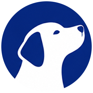 大狗加速 Logo